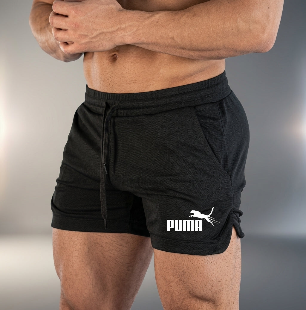 Men's Mesh Quick-Dry Athletic Shorts